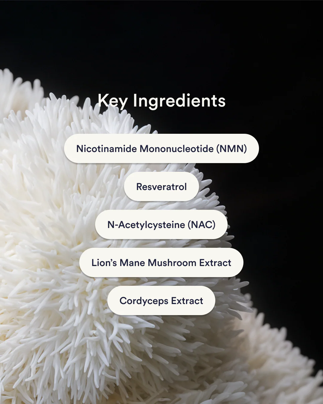 NAD+ Anti Aging Patch